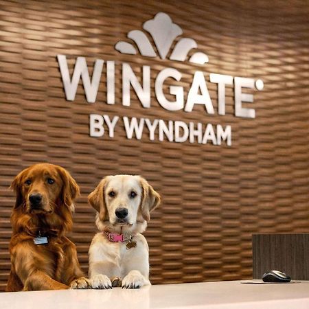 Wingate By Wyndham Lethbridge Hotel Eksteriør billede