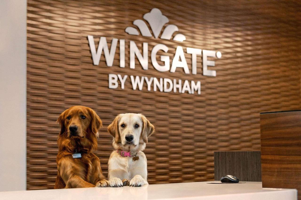Wingate By Wyndham Lethbridge Hotel Eksteriør billede